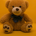 Fluffy Teddy Bear