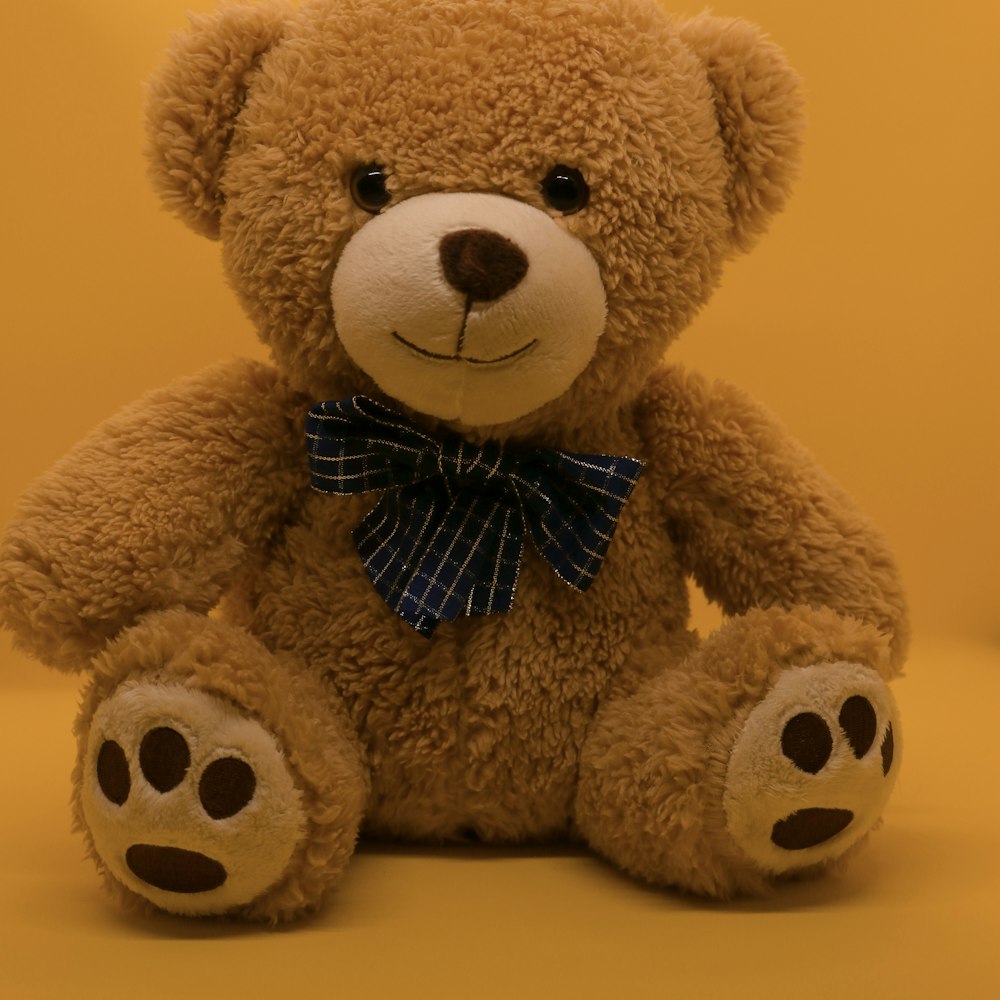 Fluffy Teddy Bear