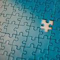Jigsaw Puzzle (100 pcs)