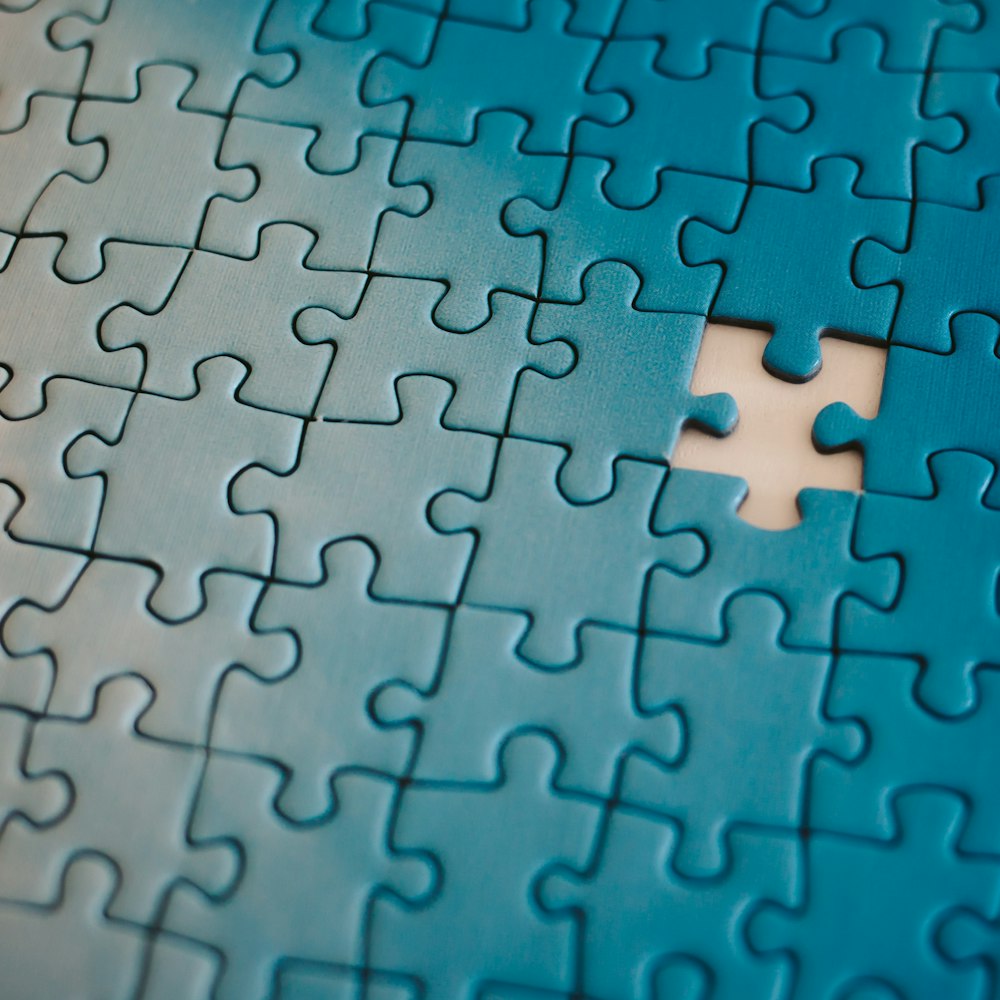 Jigsaw Puzzle (100 pcs)
